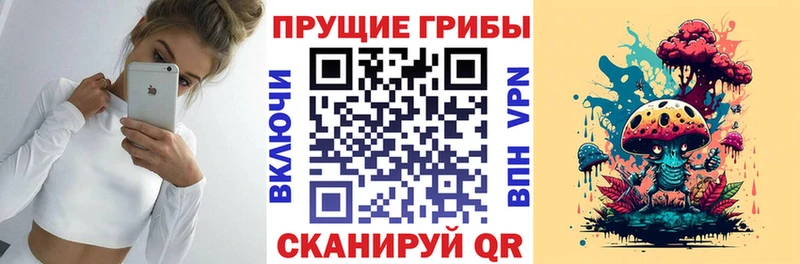 как найти закладки  Вихоревка  Галлюциногенные грибы мицелий 